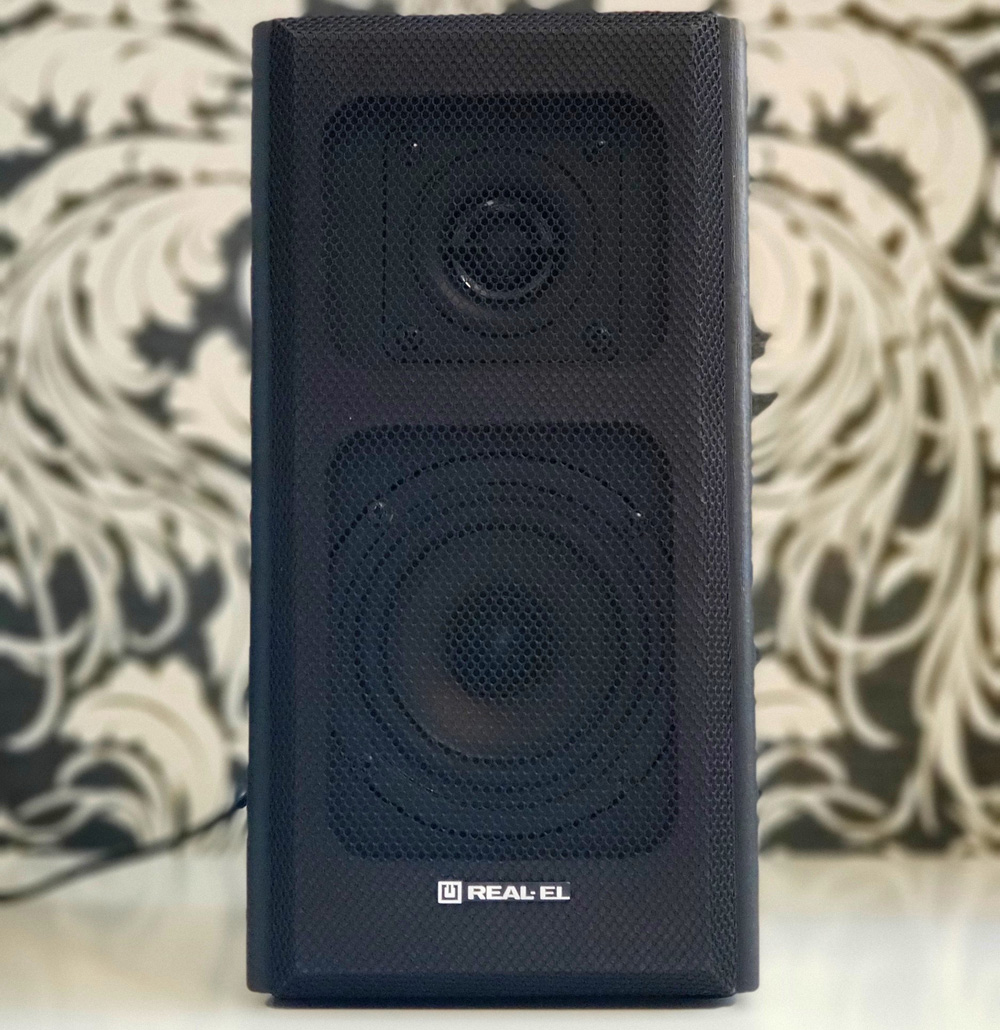 Зовнішній вигляд колонки REAL-EL S-250