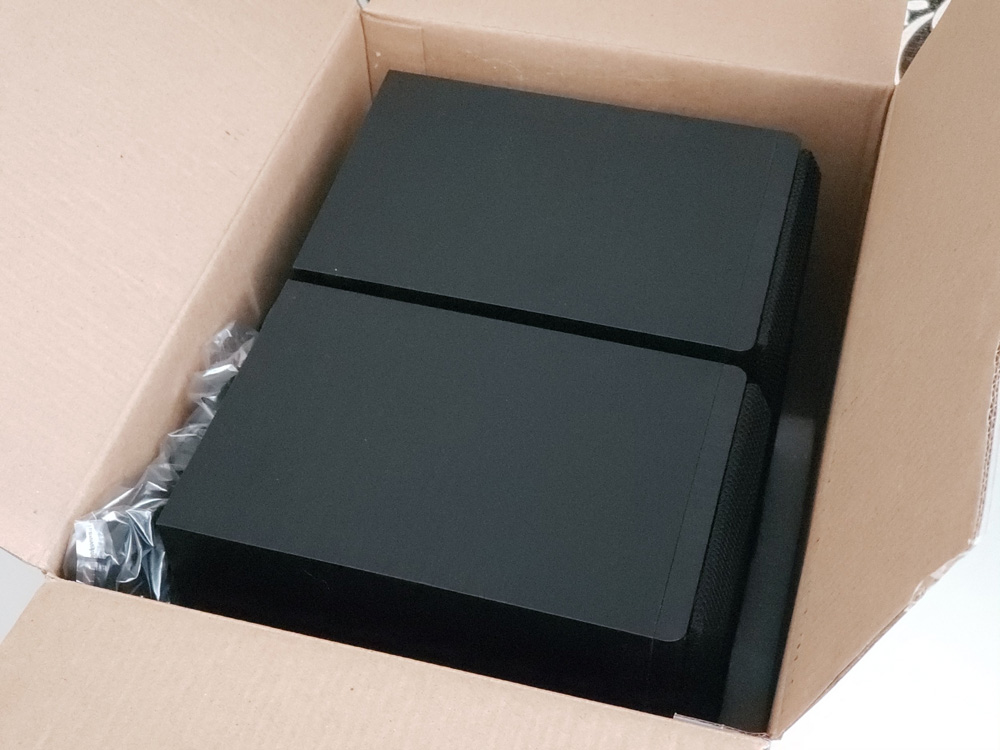 Фото розкритої коробки з колонками REAL-EL S-250