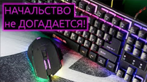 REAL-EL RM-555 и REAL-EL GAMING 8710 TKL Backlit